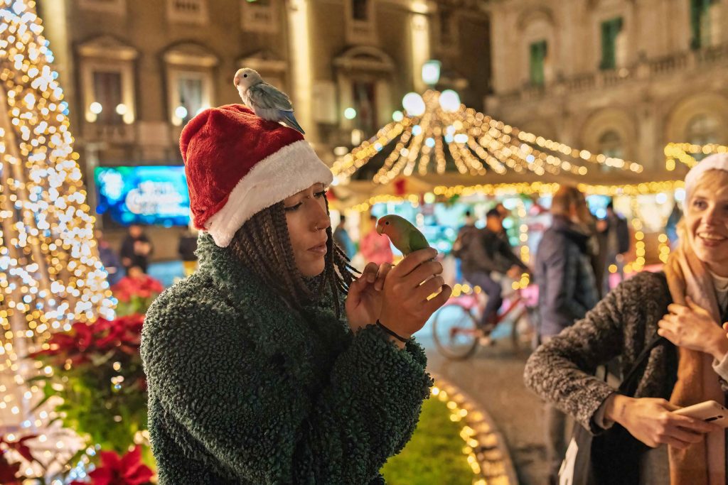 Palma Mallorca christmas lights